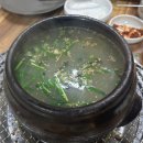 오가리수제비와풍천민물장어