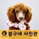 봉구네사진관 네이버블로그
