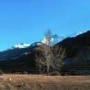 일람농장 이미지