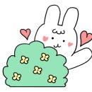 피자스톰 수원인계점 이미지