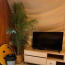 경남자동차판매(주) | 경남 합천여행 숙소 별보다글램핑 황매산 별 가득 볼 수 있는 곳