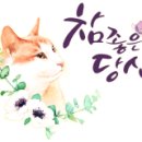 감천1동-5 이미지