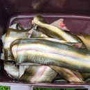 청풍낚시터 이미지