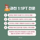 테리스짐 이미지