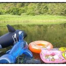 숲속의 샘물 캠핑장 이미지