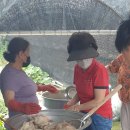 남방2통 이미지