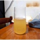 싱가포르 술 <타이거 라들러 포멜로/ Tiger Radler Pomelo> 솔직 후기