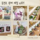 동천초등학교 | 부산 동천초등학교 원예체험 6회기 출강 / 교육복지 방과후 동아리 프로그램
