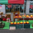 안동중앙약국 이미지