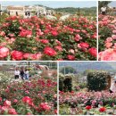 임실치즈테마파크5 이미지