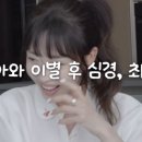 프리지아 - 원주시 개운로 106 | 프리지아