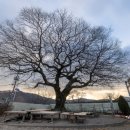 대우상사 이미지