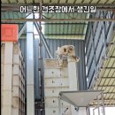 지테크엔지니어링 | [전북 부안 설치 사례] 곡물 건조장 승강기·톤백 자동계량기 설치 후기