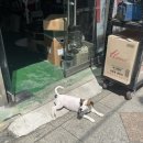 동네점빵만촌e편한점 | 대구가 고향인 사람의 대구여행🫧