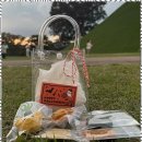 정성스럽개 이미지