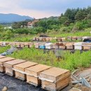 여디디야 양봉원 이미지