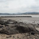 노을빛바다 이미지