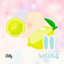 M.J 산후조리원 이미지