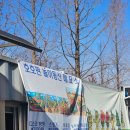 프로방스 | 크리스마스 담양 산타축제, "메타프로방스" 방문후기