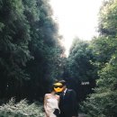 제주일상 | 일상] 제주 웨딩스냅 애담 후기