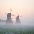 [생태탐방] 소래포구 이미지