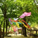 염색하기좋은날 이미지