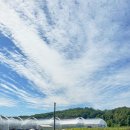 천보wellness캠핑장 이미지