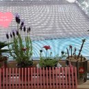 오산보건지소 이미지