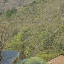 마켓팔봉 이미지