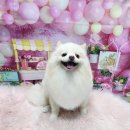 알콩이달콩이
