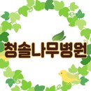 [1종나무병원/산림재난/산림병해충/정부유공] (주)청솔나무병원 김성환 나무의사 국무총리표창 수상 (산림재난/산림병해충 방제유공) 이미지