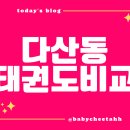 다산 국가대표 태권도장 이미지