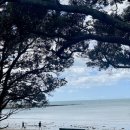 부촌공원 화장실 이미지