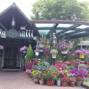 타샤의 정원 이미지