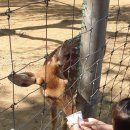 월미농장 이미지