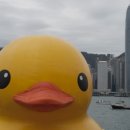 친구인형뽑기 이미지