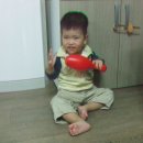 에바다목장 이미지