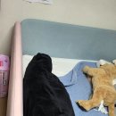 더필더디자인 이미지