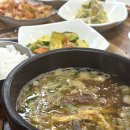 섬진강 | 가족과 함께 하는 섬진강 벚꽃 구경 후기🌸