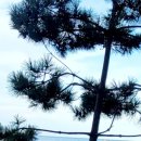 나도유튜브크리에이터 이미지