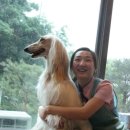 남산동물병원 이미지