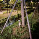 두복농장 | 25년 6월 일상