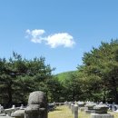 어느날성주 이미지