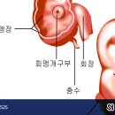 삼성본병원 네이버블로그