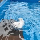 이쁘개즐겁개 이미지