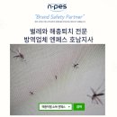엔페스호남