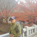 미경사2 이미지