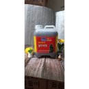 추자식품 이미지