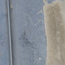 글로벌에듀로 이미지