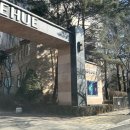 남양주 다산동 싱크대막힘🚨 역류가 신호탄! 해결 못하면 끝장납니다!